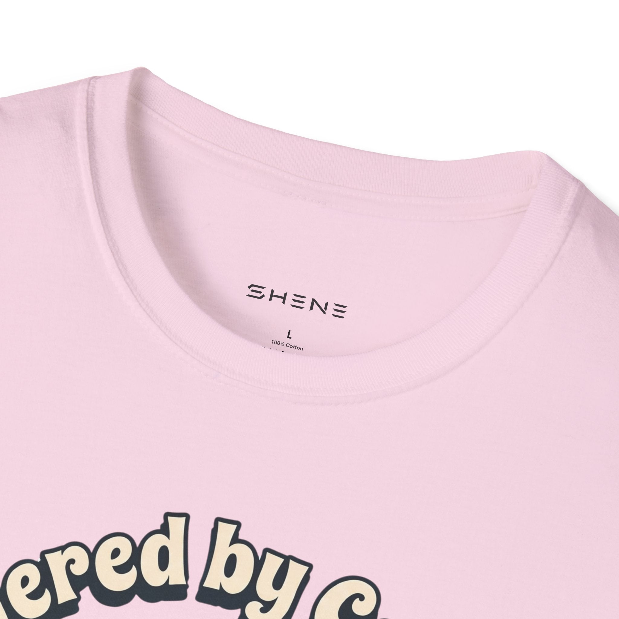 Copy of Unisex Softstyle Dachshund  T-Shirt