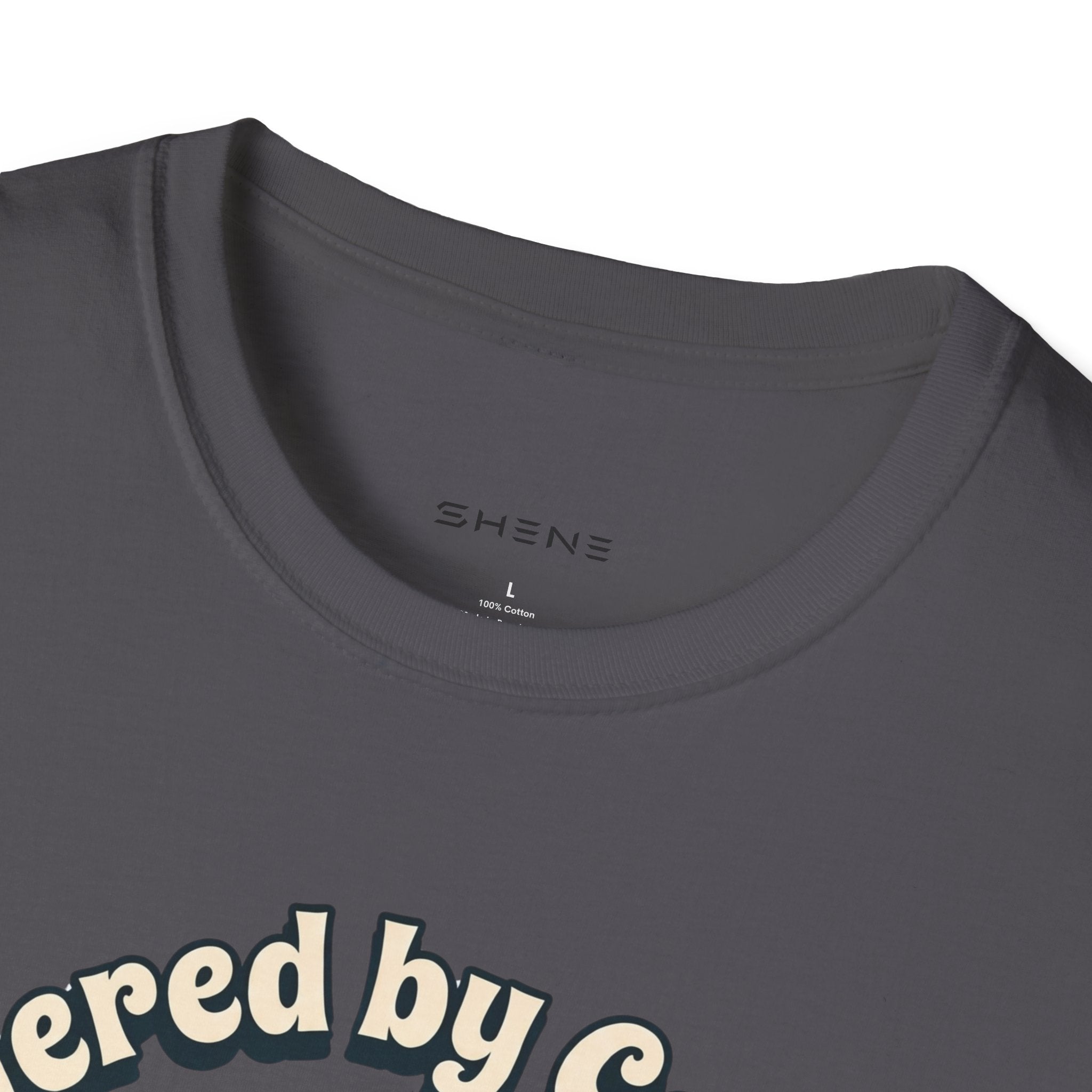 Copy of Unisex Softstyle Dachshund  T-Shirt