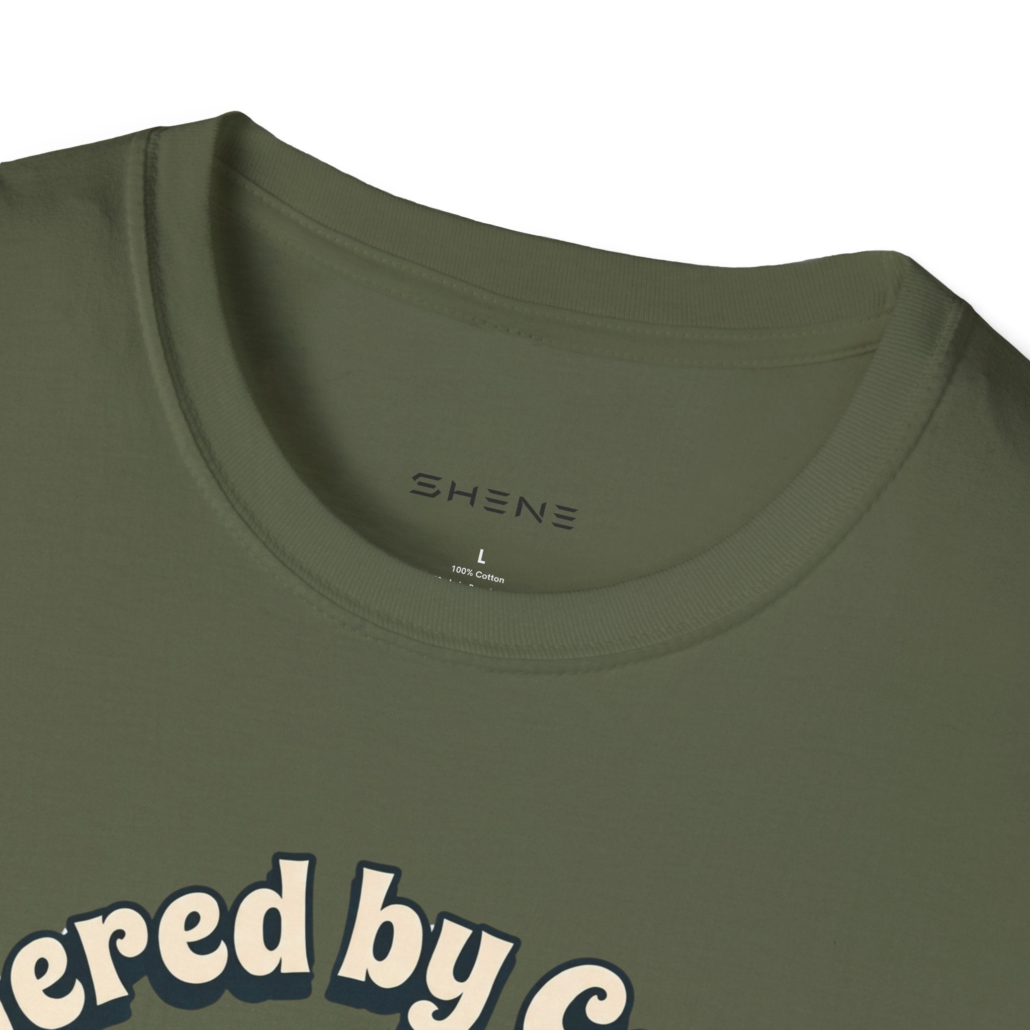 Copy of Unisex Softstyle Dachshund  T-Shirt